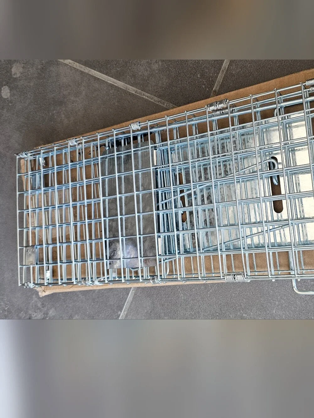 1-Pack Silver Live Animal Cage Trap Folding Humane Cat Trap For Mouse